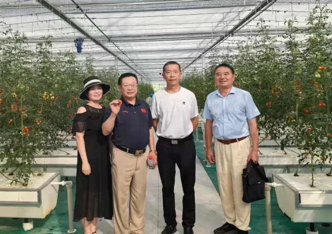 肥东桥头集镇：《中国新农村》杂志社 助力国光和美乡村建设